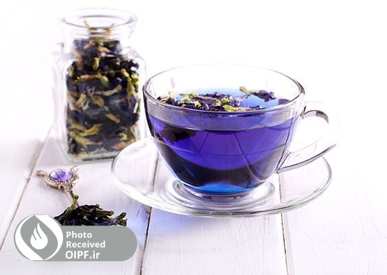 مطالب آموزشی