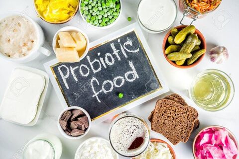 پروبیوتیک درمان سلامتی غذا