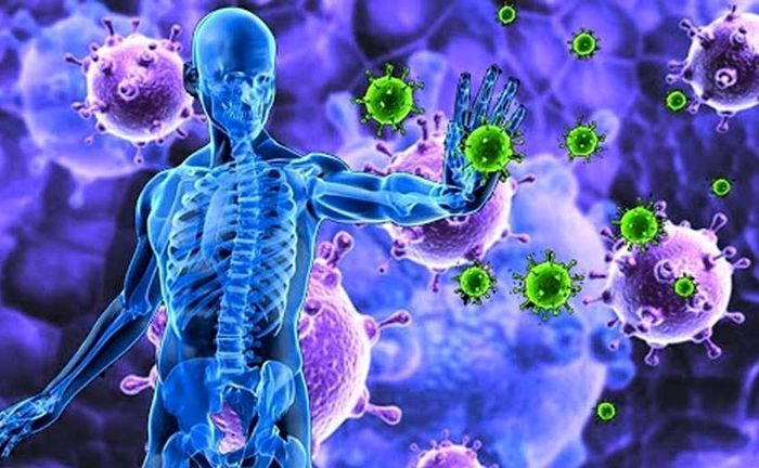 راه های تقویت سیستم ایمنی بدن برای مبارزه با ویروس کرونا
کرونا