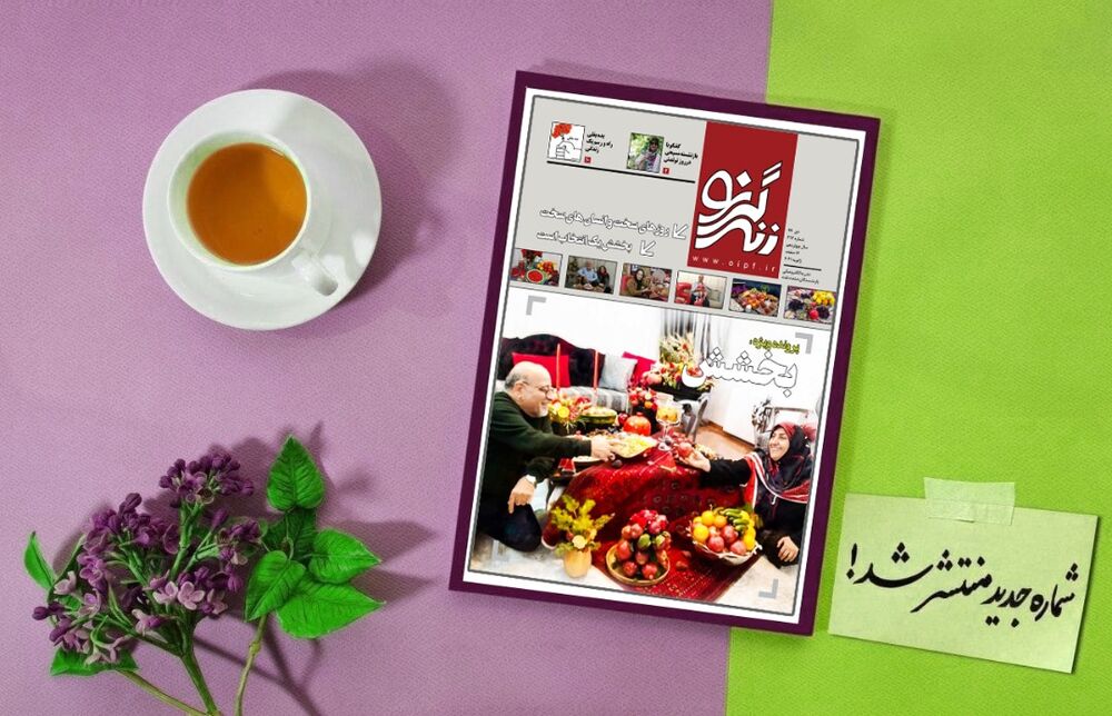 جلد نشریه شماره 317