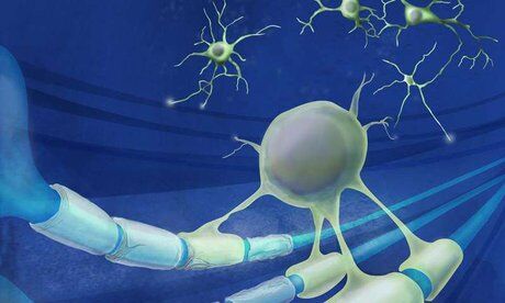 سلول بنیادی