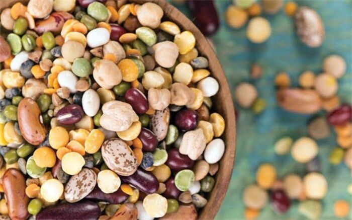 ضدمغذی