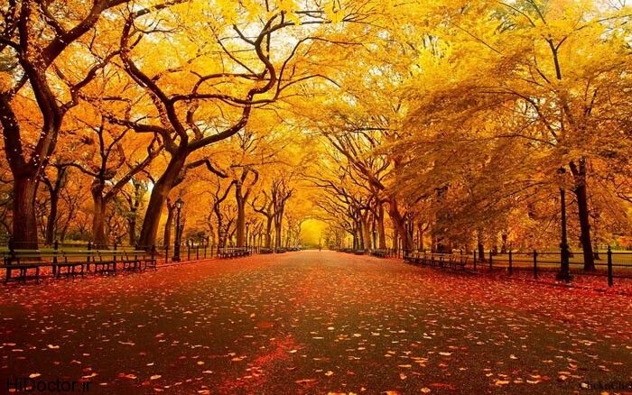 افسردگی “پاییزی” را جدی بگیرید پاییز