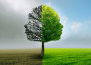 مهربانی و همبستگی اجتماعی؛ نسخه‌ای مؤثر برای حفظ سلامت روان در بحران‌ها