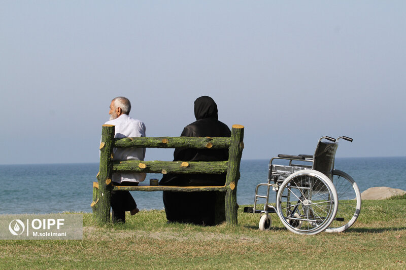 اردوی ایثارگران